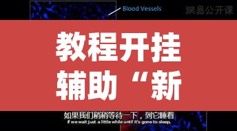 教程开挂辅助“新九游大厅开挂透视软件	”(透视挂)辅助透视教程
