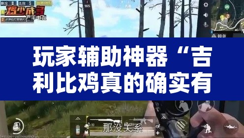玩家辅助神器“吉利比鸡真的确实有挂”附辅助神器开挂脚本详细步骤