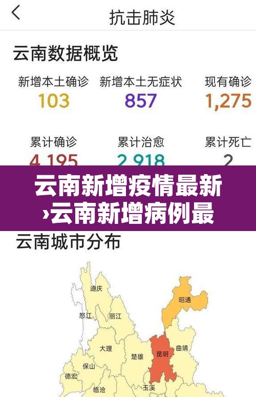 云南新增疫情最新›云南新增病例最新通报详细名单 云南新增疫情最新›云南新增病例最新通报详细名单