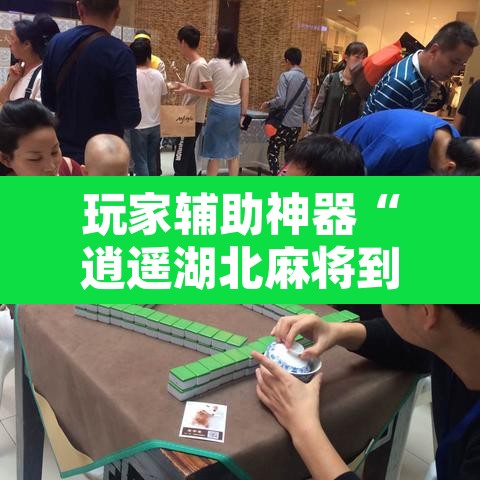 玩家辅助神器“逍遥湖北麻将到底有没有挂	”其实确实有挂