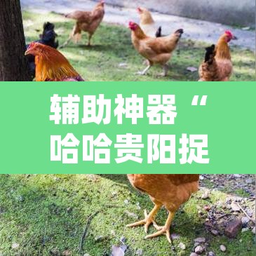 辅助神器“哈哈贵阳捉鸡麻将开挂怎么开”(透视)其实确实有挂