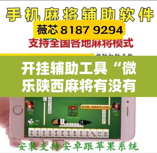开挂辅助工具“微乐陕西麻将有没有挂”(透视)其实确实有挂