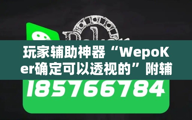 玩家辅助神器“WepoKer确定可以透视的”附辅助神器开挂脚本详细步骤