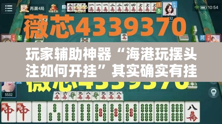 玩家辅助神器“海港玩摆头注如何开挂”其实确实有挂