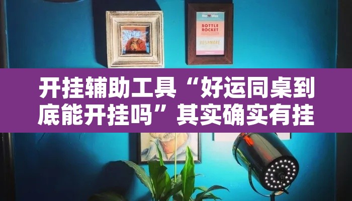 开挂辅助工具“好运同桌到底能开挂吗”其实确实有挂