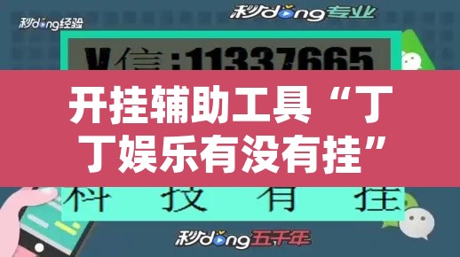 开挂辅助工具“丁丁娱乐有没有挂	”(透视挂)辅助透视教程