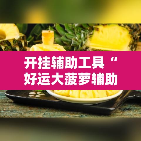 开挂辅助工具“好运大菠萝辅助软件”(透视挂)辅助透视教程