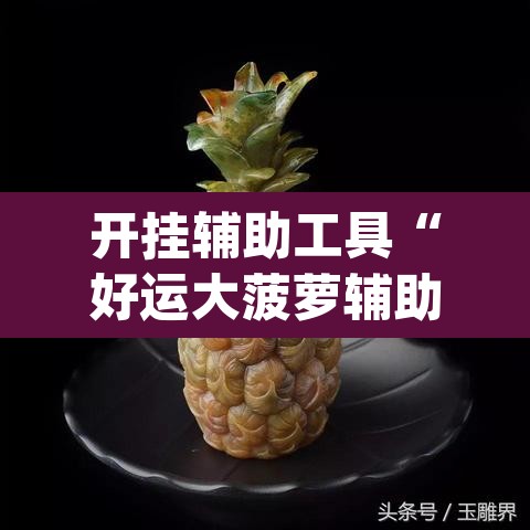 开挂辅助工具“好运大菠萝辅助软件”(透视挂)辅助透视教程