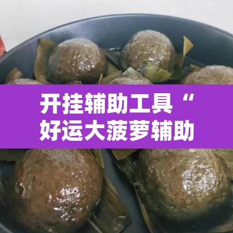 开挂辅助工具“好运大菠萝辅助软件	”(透视挂)辅助透视教程