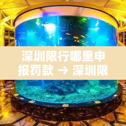 深圳限行哪里申报罚款 → 深圳限行违章怎么罚款 深圳限行哪里申报罚款 → 深圳限行违章怎么罚款