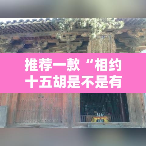 推荐一款“相约十五胡是不是有挂”(透视)其实确实有挂