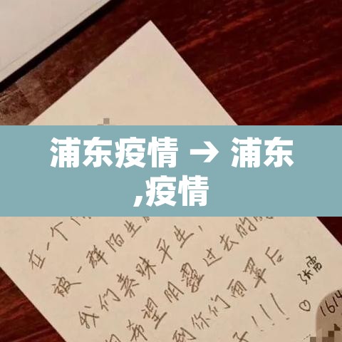 浦东疫情 → 浦东,疫情 浦东疫情 → 浦东,疫情