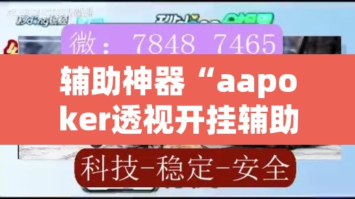 辅助神器“aapoker透视开挂辅助”附辅助神器开挂脚本详细步骤