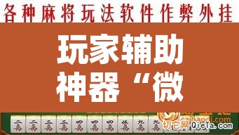 玩家辅助神器“微乐江苏麻将有挂能查出来吗”其实确实有挂