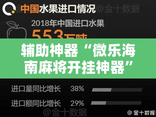 辅助神器“微乐海南麻将开挂神器”开挂辅助脚本+详细开挂安装教程