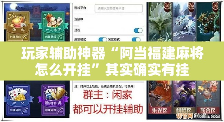 玩家辅助神器“阿当福建麻将怎么开挂”其实确实有挂