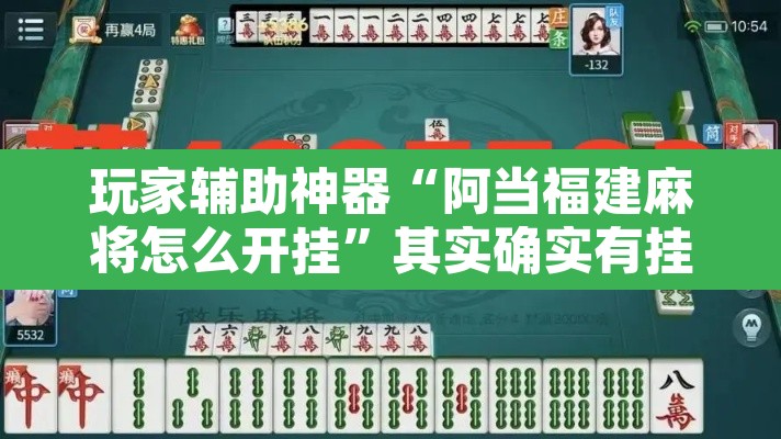 玩家辅助神器“阿当福建麻将怎么开挂”其实确实有挂