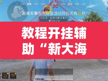 教程开挂辅助“新大海互娱拼三张透”(透视挂)辅助透视教程