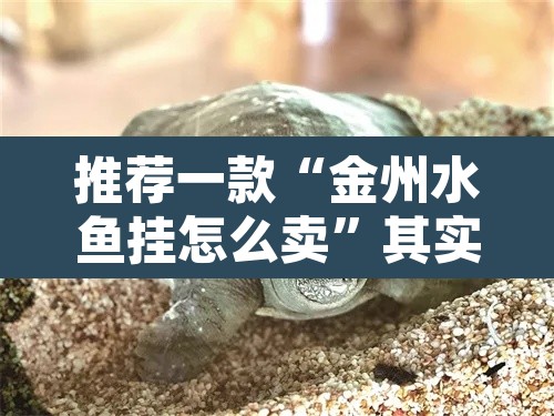 推荐一款“金州水鱼挂怎么卖”其实确实有挂
