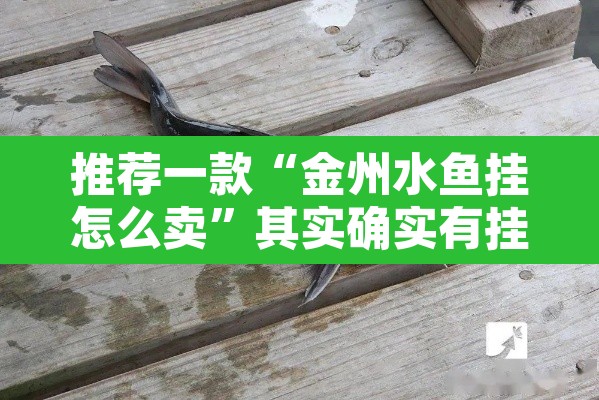 推荐一款“金州水鱼挂怎么卖	”其实确实有挂