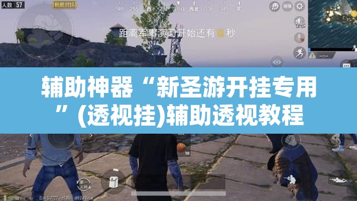 辅助神器“新圣游开挂专用	”(透视挂)辅助透视教程