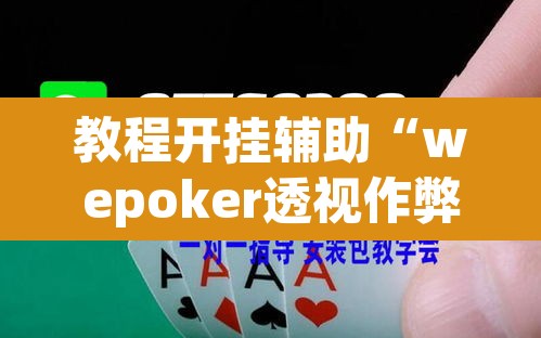 教程开挂辅助“wepoker透视作弊”(透视挂)辅助透视教程