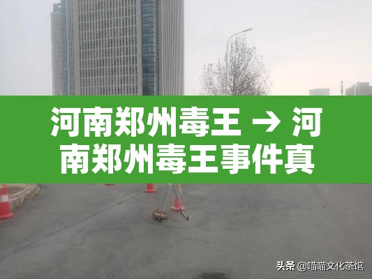 河南郑州毒王 → 河南郑州毒王事件真相 河南郑州毒王 → 河南郑州毒王事件真相
