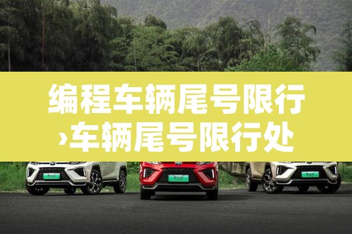 编程车辆尾号限行›车辆尾号限行处罚规定 编程车辆尾号限行›车辆尾号限行处罚规定