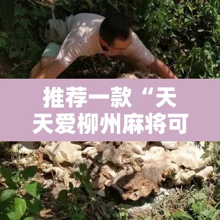 推荐一款“天天爱柳州麻将可以开挂吗”其实确实有挂