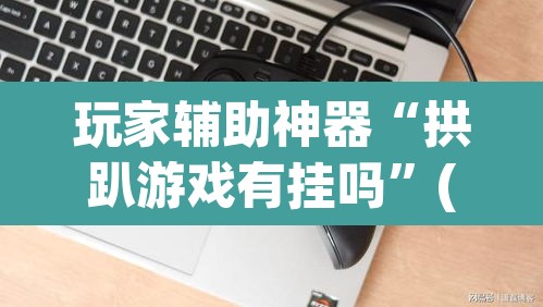 玩家辅助神器“拱趴游戏有挂吗”(透视挂)辅助透视教程