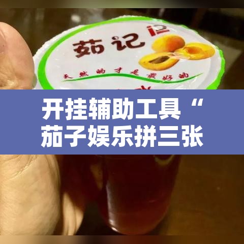 开挂辅助工具“茄子娱乐拼三张辅助	”开挂辅助脚本+详细开挂安装教程
