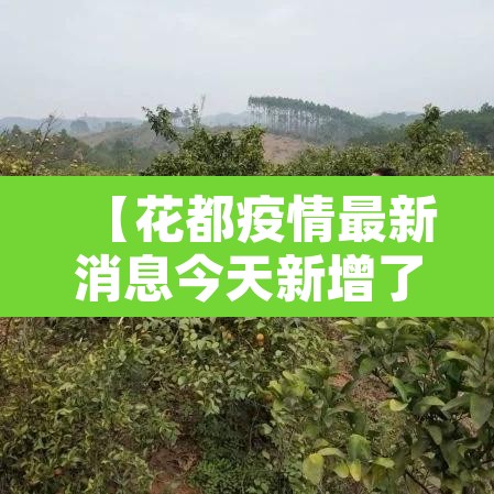 【花都疫情最新消息今天新增了15例·花都新型冠状病毒最新消息】