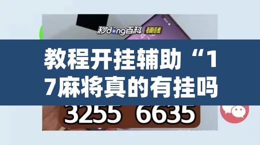 教程开挂辅助“17麻将真的有挂吗	”(透视)其实确实有挂