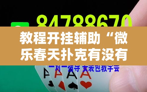 教程开挂辅助“微乐春天扑克有没有挂	”(透视挂)辅助透视教程