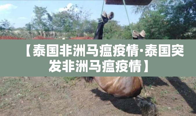 【泰国非洲马瘟疫情·泰国突发非洲马瘟疫情】 【泰国非洲马瘟疫情·泰国突发非洲马瘟疫情】