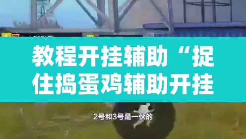 教程开挂辅助“捉住捣蛋鸡辅助开挂	”(透视挂)辅助透视教程