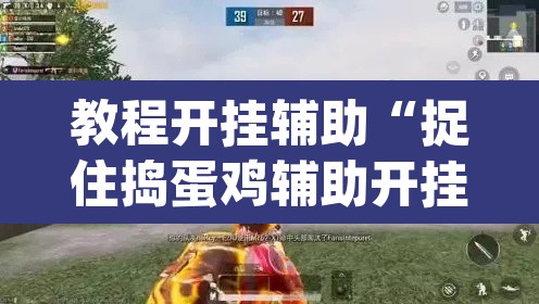 教程开挂辅助“捉住捣蛋鸡辅助开挂”(透视挂)辅助透视教程