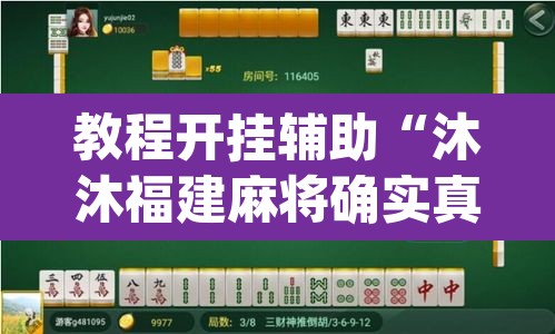 教程开挂辅助“沐沐福建麻将确实真的有挂”(透视挂)辅助透视教程
