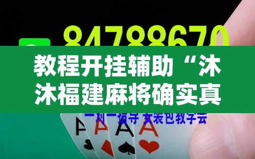 教程开挂辅助“沐沐福建麻将确实真的有挂”(透视挂)辅助透视教程