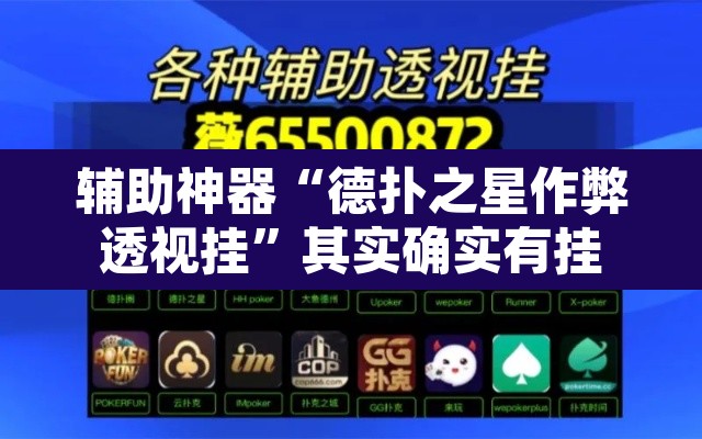 辅助神器“德扑之星作弊透视挂”其实确实有挂