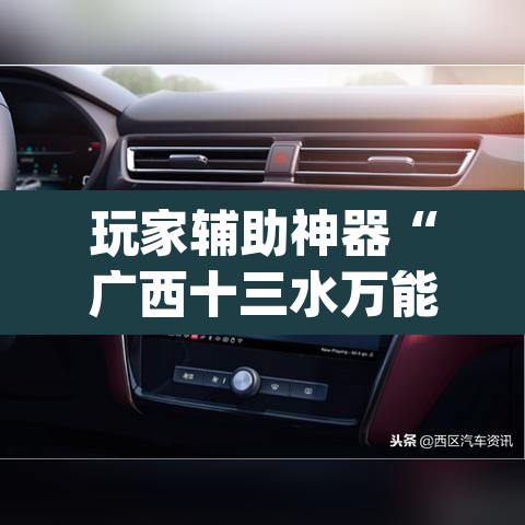 玩家辅助神器“广西十三水万能辅助器”(透视)其实确实有挂