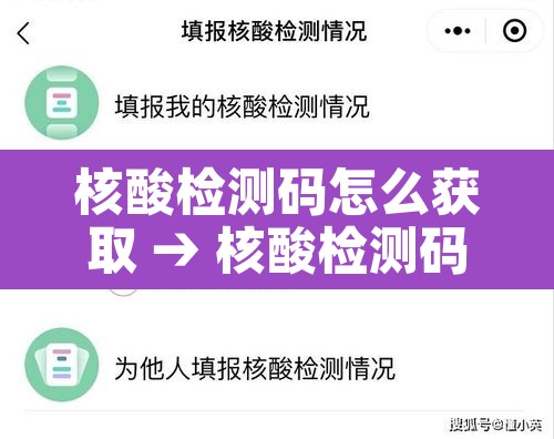 核酸检测码怎么获取 → 核酸检测码怎么获取二维码