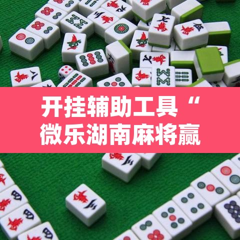 开挂辅助工具“微乐湖南麻将赢牌规律是啥”(透视)其实确实有挂