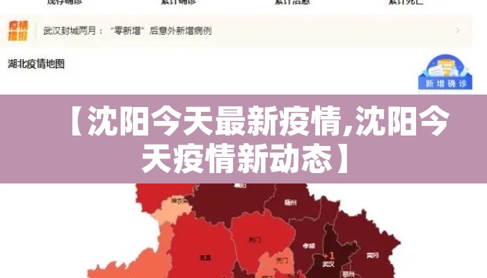 【沈阳今天最新疫情,沈阳今天疫情新动态】 【沈阳今天最新疫情,沈阳今天疫情新动态】