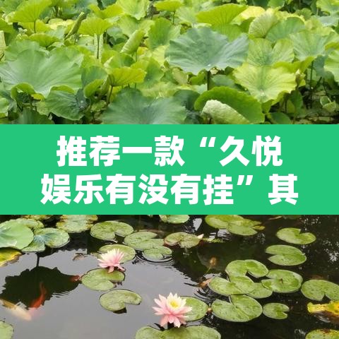 推荐一款“久悦娱乐有没有挂”其实确实有挂