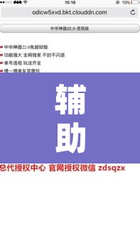 辅助神器“微乐跑得快透视软件”其实确实有挂