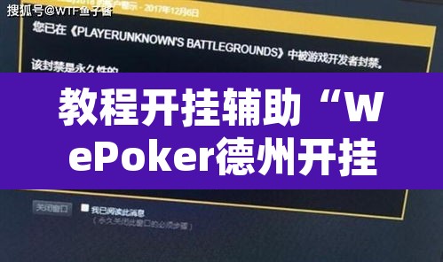 教程开挂辅助“WePoker德州开挂辅助作弊挂	”(透视)其实确实有挂