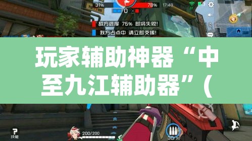 玩家辅助神器“中至九江辅助器”(透视)其实确实有挂
