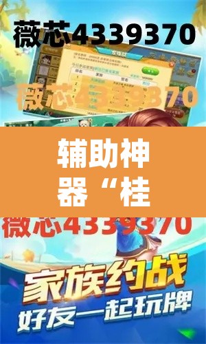 辅助神器“桂柳麻将的挂怎么安装	”(透视挂)辅助透视教程