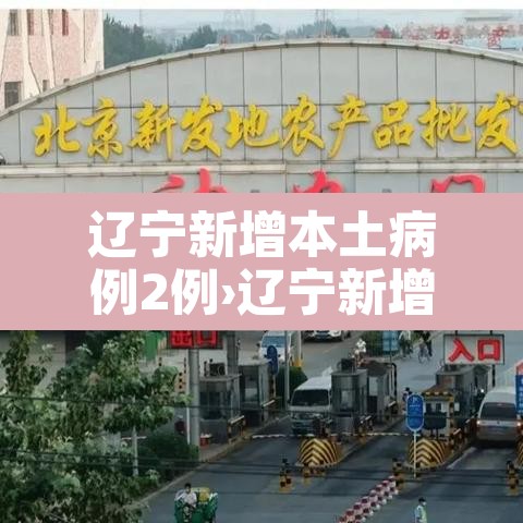 辽宁新增本土病例2例›辽宁新增本土疑似病例 辽宁新增本土病例2例›辽宁新增本土疑似病例